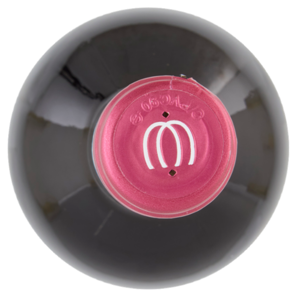 Francesco Capetta Dolcetto d'Acqui D.O.C. 75 cl