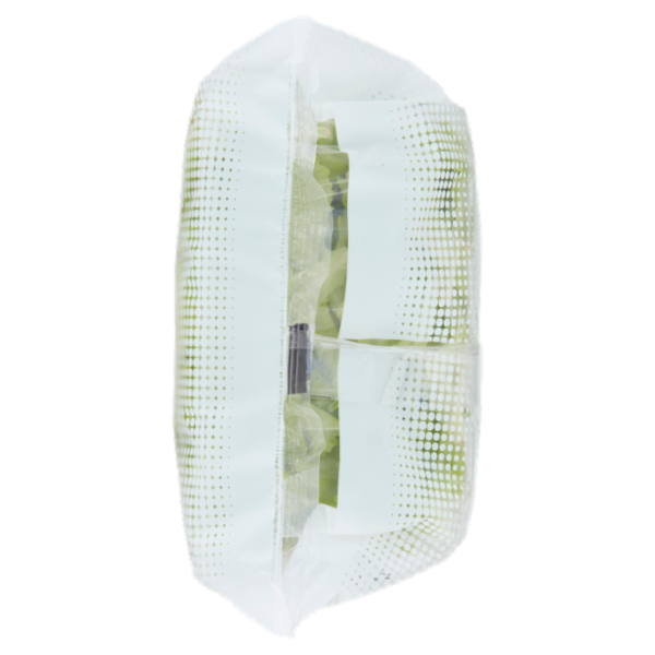 Insal'Arte Lattughino 100 g