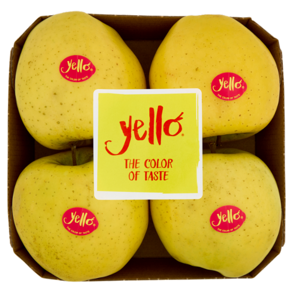 yello by Marlene Shinano Gold vassoio 4 frutti