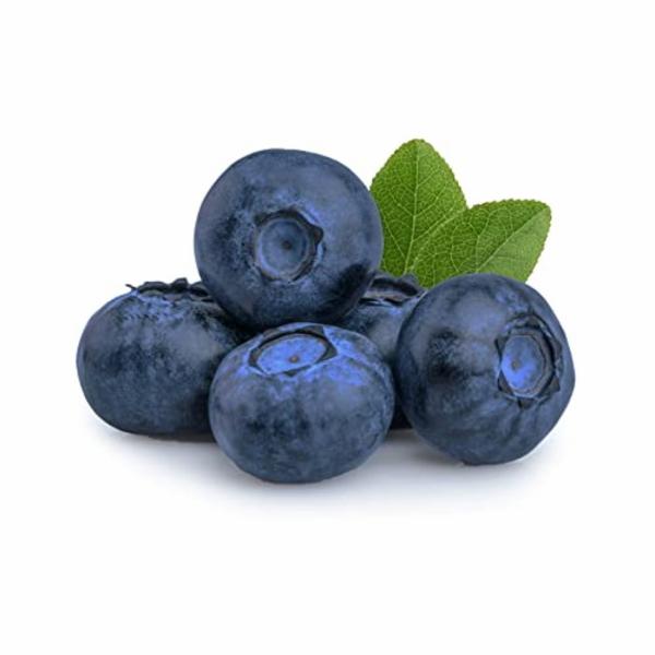 Mirtilli Secchiello 500g