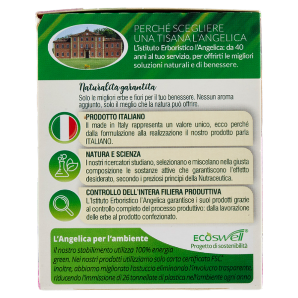 L'Angelica Le Tisane Depurativa Active 18 Filtri 36 g