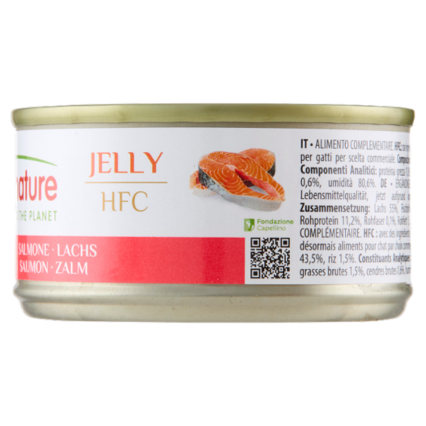 almo nature HFC Jelly Salmone 70 g