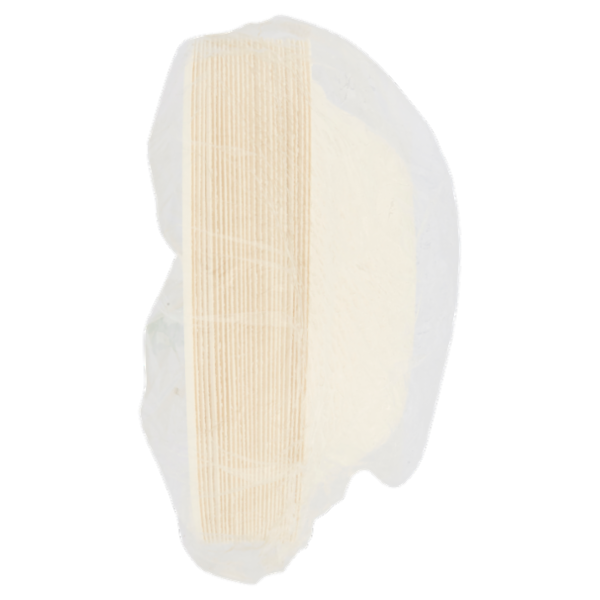 Biò Fondine Ø18cm 400ml polpa di cellulosa 25 pz