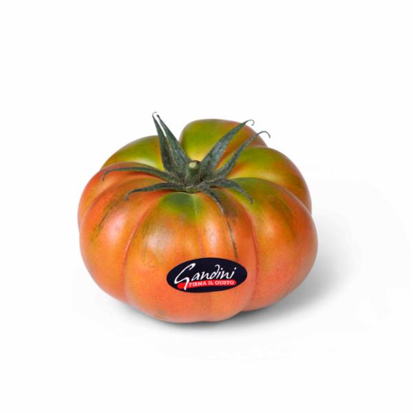 GANDINI POMODORO COSTOLUTO