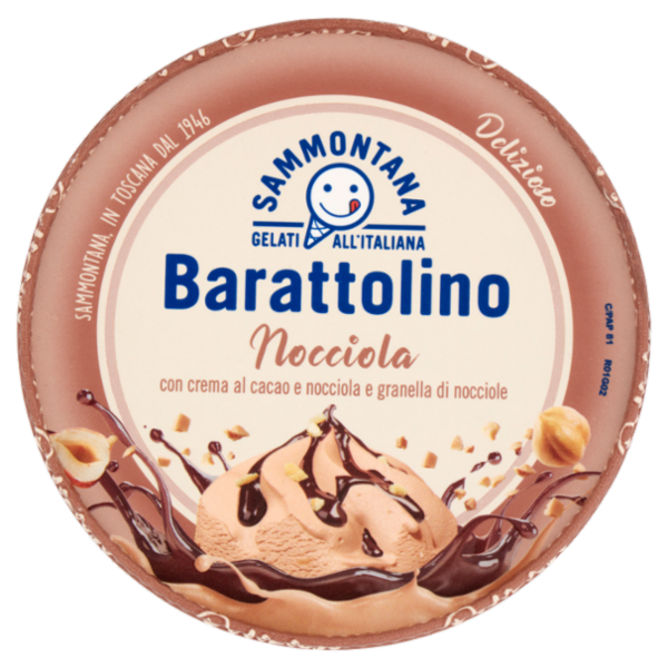 Sammontana Barattolino Delizioso Nocciola 500 g