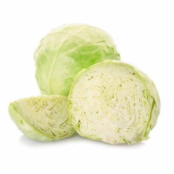 Cavolo Cappuccio Bianco