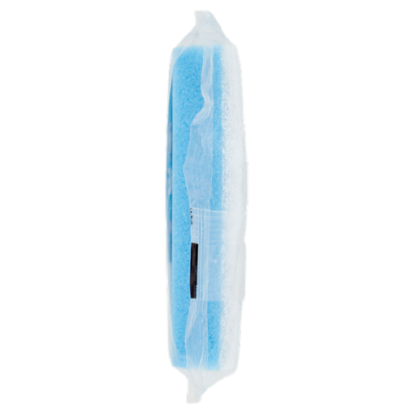 Consilia Spugne Abrasive Antigraffio Doppio Uso 2 pezzi