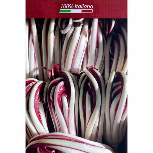RADICCHIO ROSSO LUNGO TARDIVO
