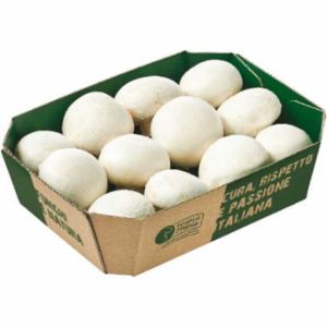 Funghi Champignon Gr.400