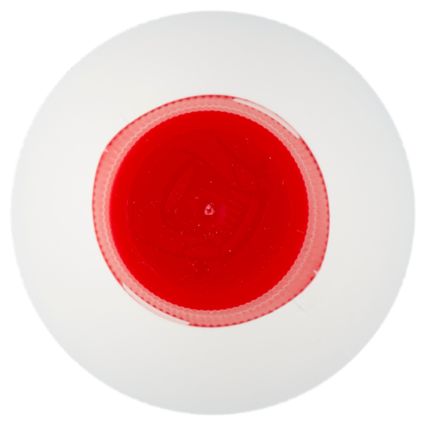 Consilia Detergente Casaform Profumato Pino 1 L