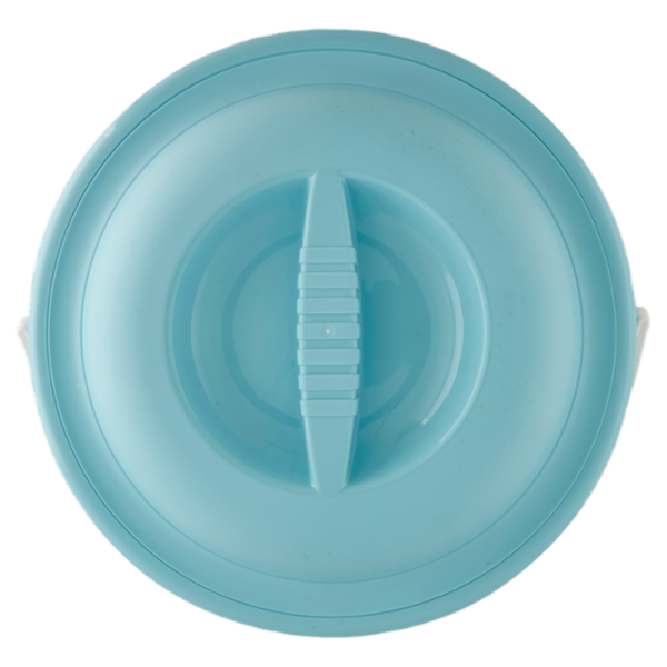 Selex Secchio Con Coperchio Diametro 31 cm Azzurro 13 L