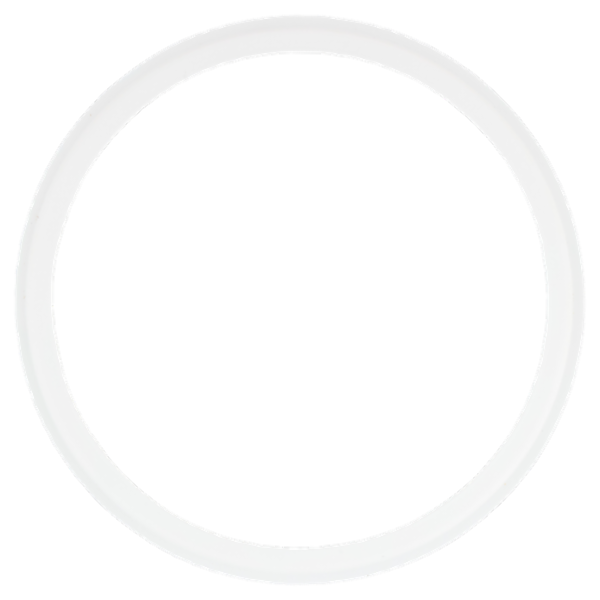 Ruggeri Pasta Madre essiccata 200 g