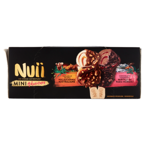 NUII Mini Adventure Caramello Salato e Noci Macadamia e Cioccolato Fondente e Mirtilli 6 Gelati 253g