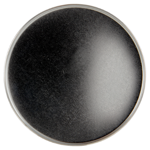 Misura Stevia* 500 g