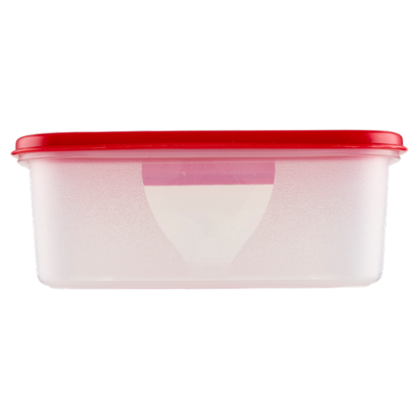 Selex Contenitore per Alimenti Freezer/Frigo Rettangolare 2,7 L