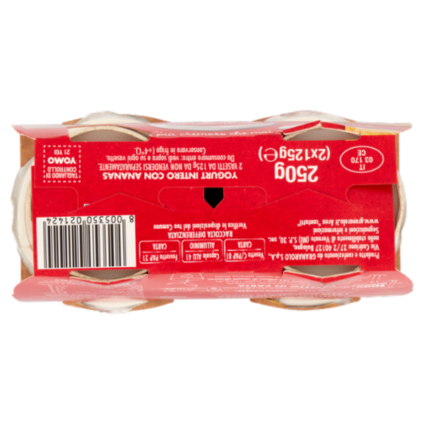 Yomo Intero Ananas 2 x 125 g