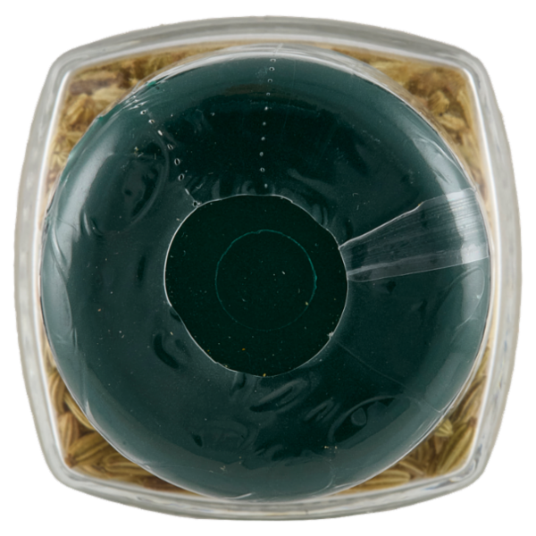 Consilia Finocchio Semi 40 g