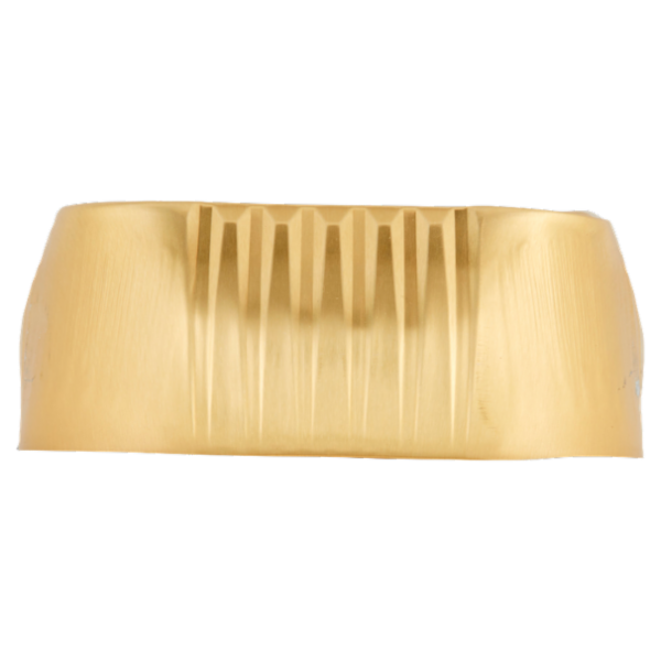 Selex Amico Mio Paté per Cane con Manzo 300 g