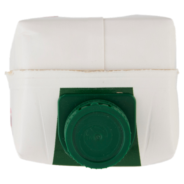 Zuegg Skipper Frutti del Bosco Senza zuccheri aggiunti 1000 ml