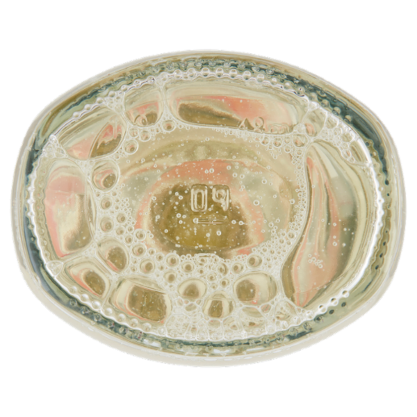 Keglevich Wodka & Fruit Pesca 1 L