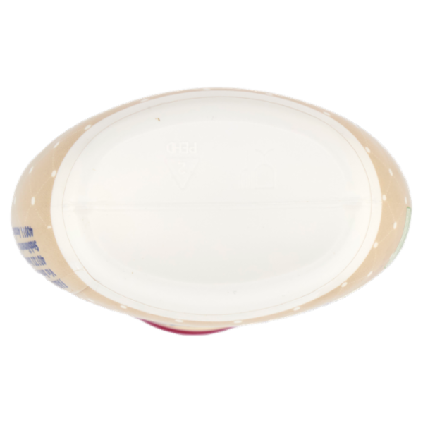 La Pasticceria di Casa Fabbri Preparato alla Vaniglia 220 g