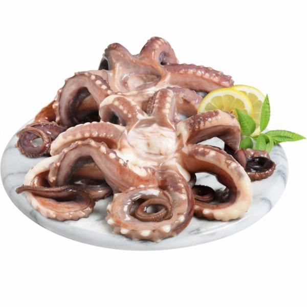Tentacoli di totano Gigante da Banco