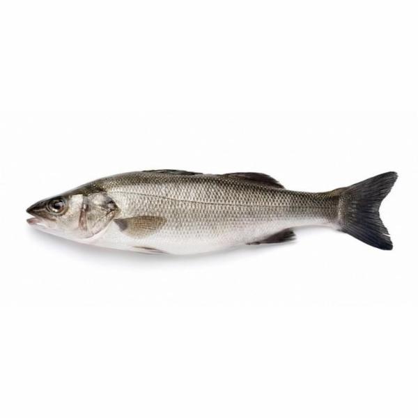 Branzino Italia Cal. 600-800