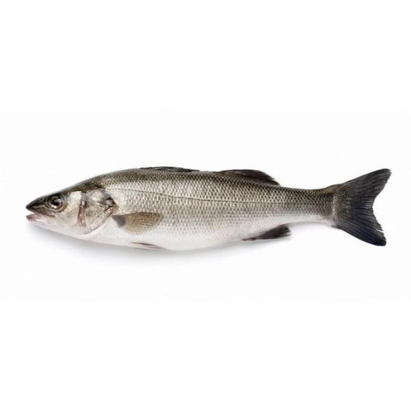 Branzino Italia Cal. 400-600
