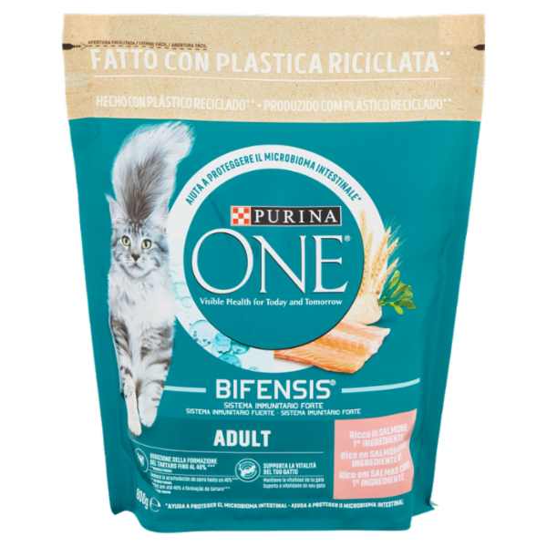PURINA ONE Adult Ricco in Salmone 800 g