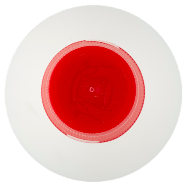 Consilia Detergente Casaform Classico 1 L