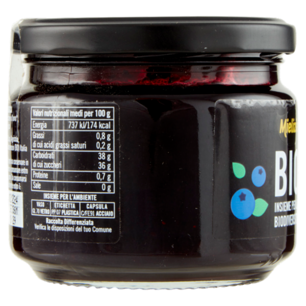 Mielizia Bio Mirtilli 250 g