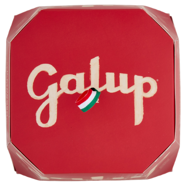 Galup Pandoro Classico Senza Lattosio 750 g