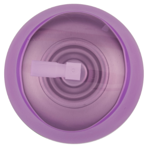 Air Wick Freshmatic Lavanda in fiore Spray Automatico per Ambienti Ricarica 250 ml