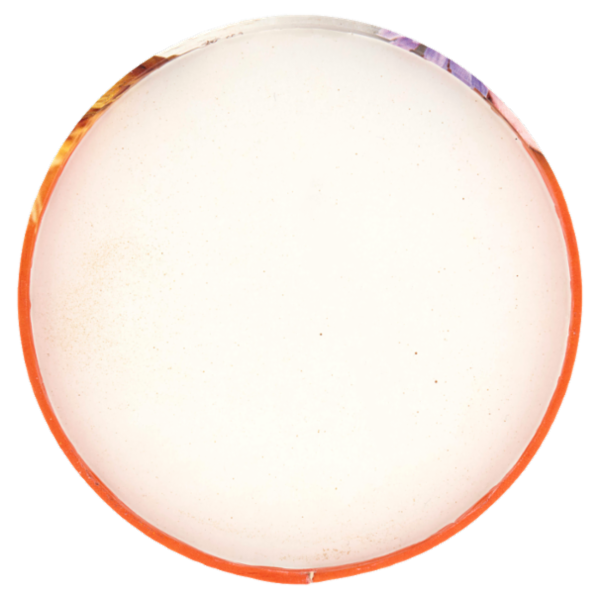 Crastan Bio Miscela di Cereali Solubile 125 g