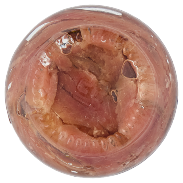 Rizzoli Filetti di Alici del Canale di Sicilia in Olio 100% Italiano 80 g