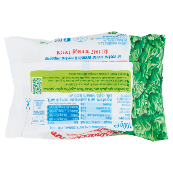 Nonno Nanni stracchino 100 g