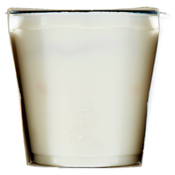 Selex Yogurt Magro Pesca e Albicocca 2x125 g