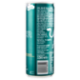 Red Bull Energy Drink, Gusto Fico-Mela, 250 ml