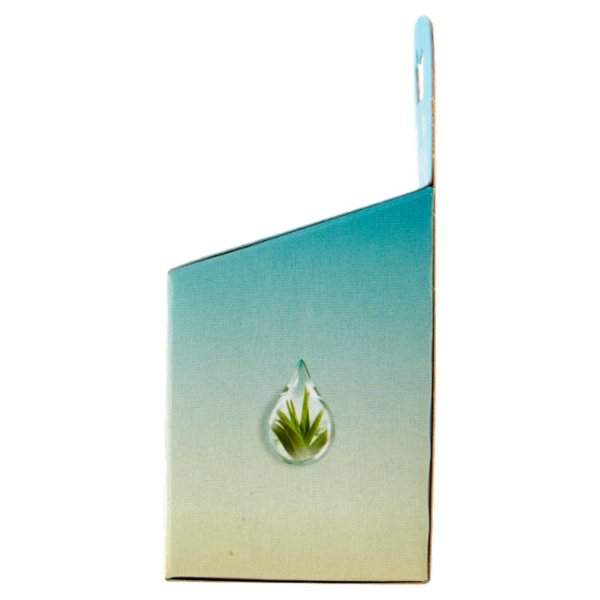 Gillette Venus Comfortglide Sensitive Lamette di ricambio per Rasoio da Donna, 3 Ricariche