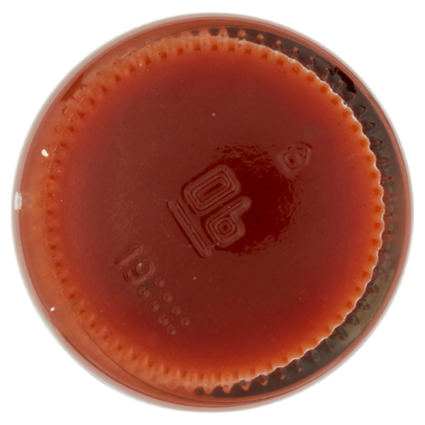 THOMY Salsa Chili Piccante con Jalapeños 230 ml