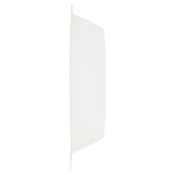 Mulan Involtino primavera Surgelato 180 g