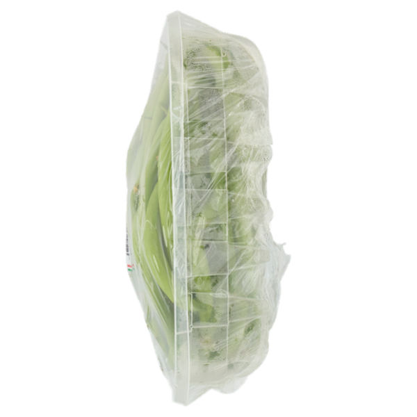 Riverfrut Fagiolini 500 g