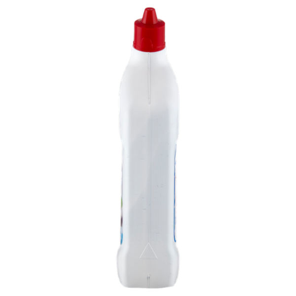 IL GIGANTE WC Gel con candeggina 750 ml
