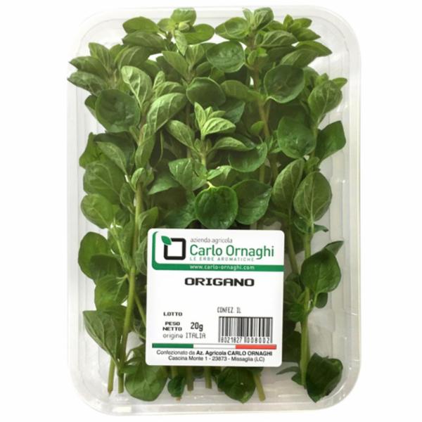 ORIGANO