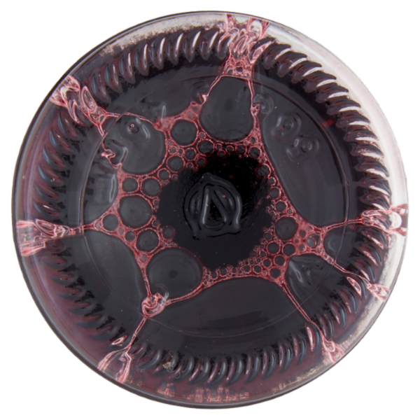 Toschi Zero+ Amarena 560 ml