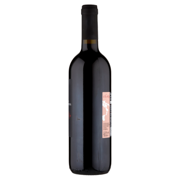 Le Vie Dell'Uva Nero di Troia Puglia I.G.T. 750 ml