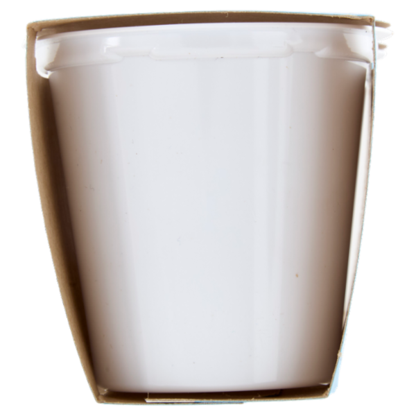 Selex Yogurt Magro Frutti di Bosco 2x125 g