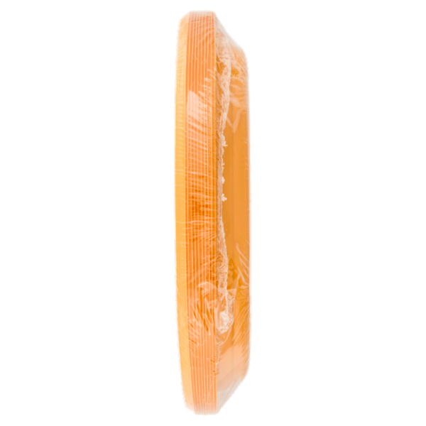 Smart Reusable Piatti Mandarine 22x22 cm 10 pz