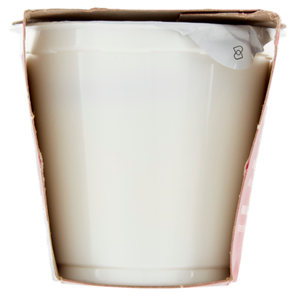 IL GIGANTE Yogurt Bianco Intero 2 x 125 g
