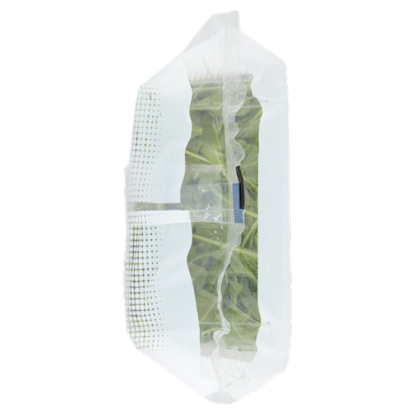 OrtoRomi Rucola 100 g